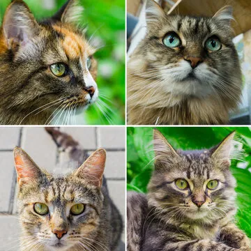 值得信赖的娱乐平台